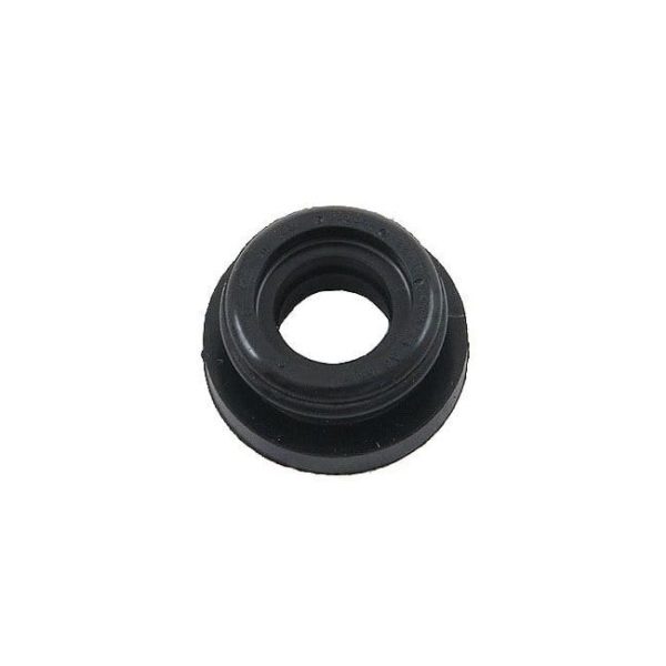 Master Cylinder Plug, Dual, Each