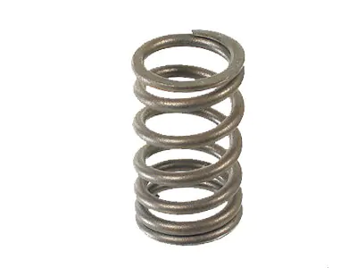 Valve Spring 1200 To 1600Cc